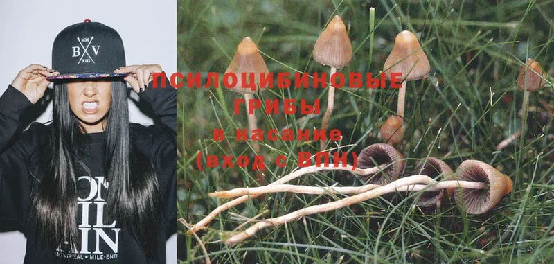 Галлюциногенные грибы Magic Shrooms  магазин  наркотиков  Магас 